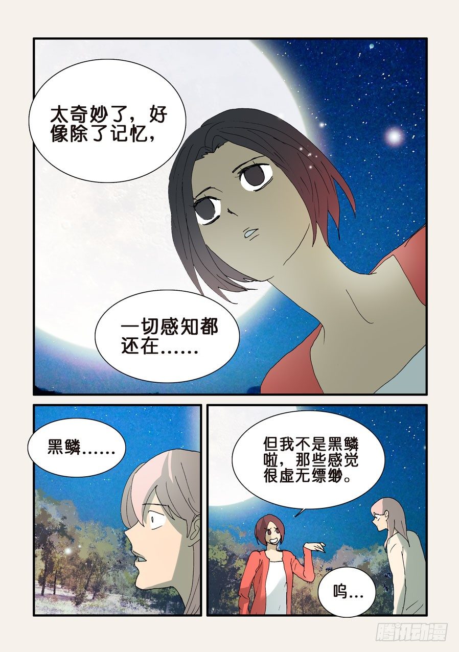 319感受6
