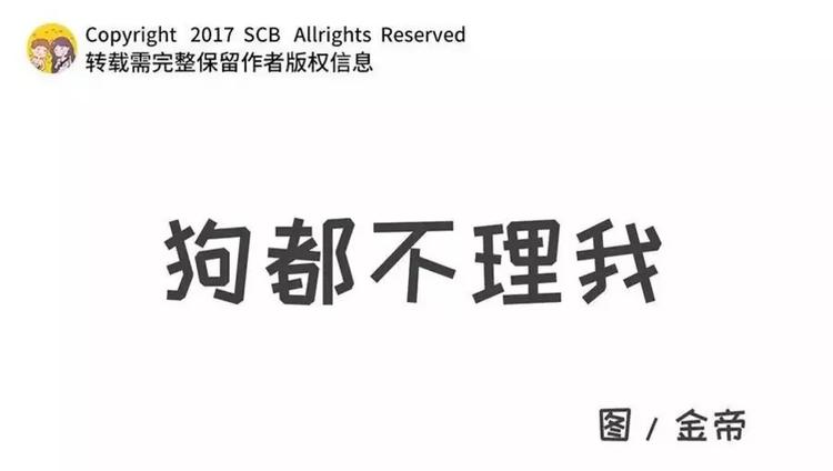 狗狗发现少女惊人的秘密0