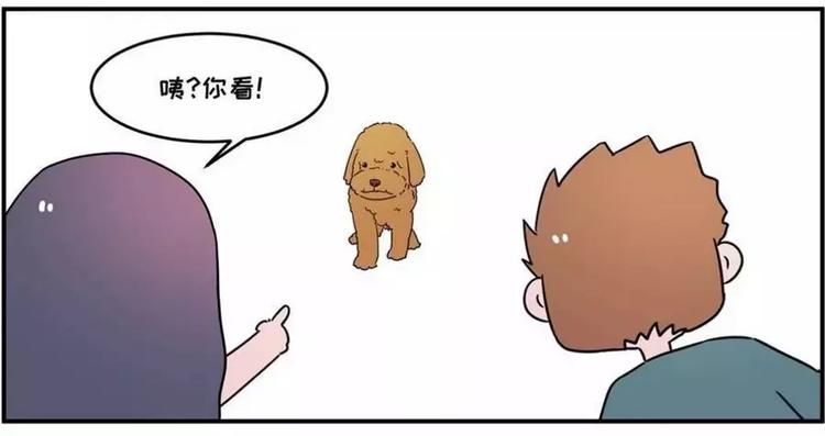 狗狗发现少女惊人的秘密1