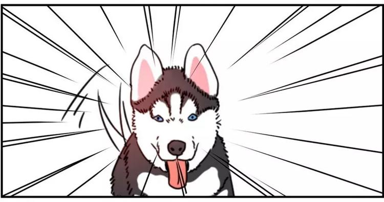狗狗发现少女惊人的秘密10