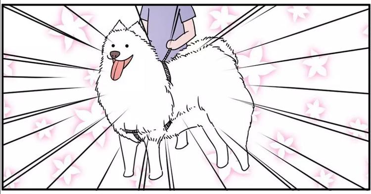 狗狗发现少女惊人的秘密15