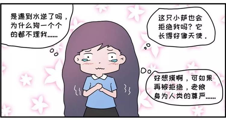 狗狗发现少女惊人的秘密16