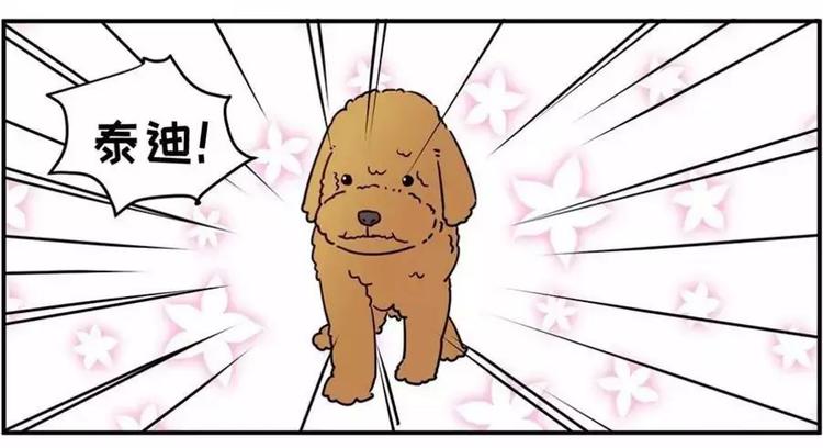 狗狗发现少女惊人的秘密2