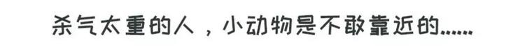 狗狗发现少女惊人的秘密25