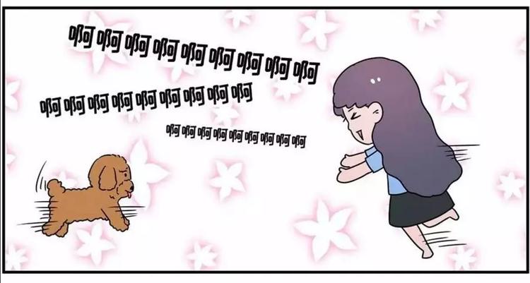 狗狗发现少女惊人的秘密3