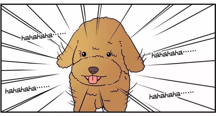 狗狗发现少女惊人的秘密4