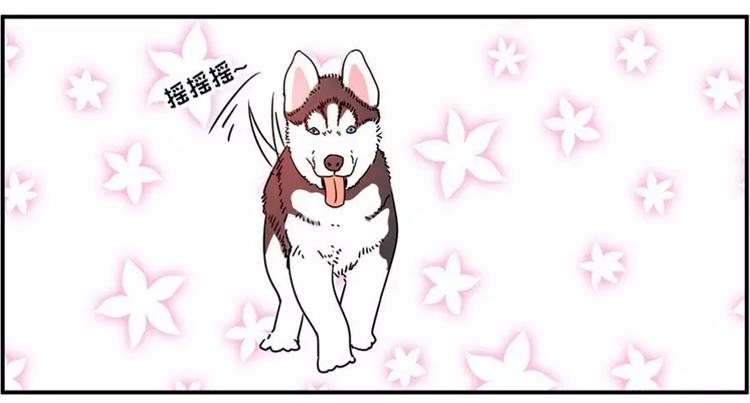 狗狗发现少女惊人的秘密7