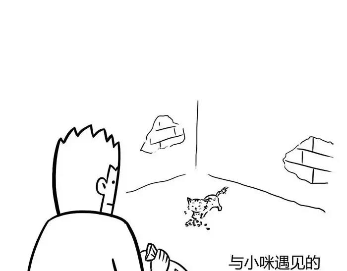 丧哥系列 | 养猫第一天1