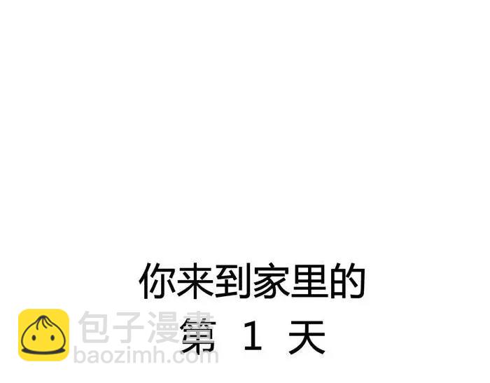 丧哥系列 | 养猫第一天10