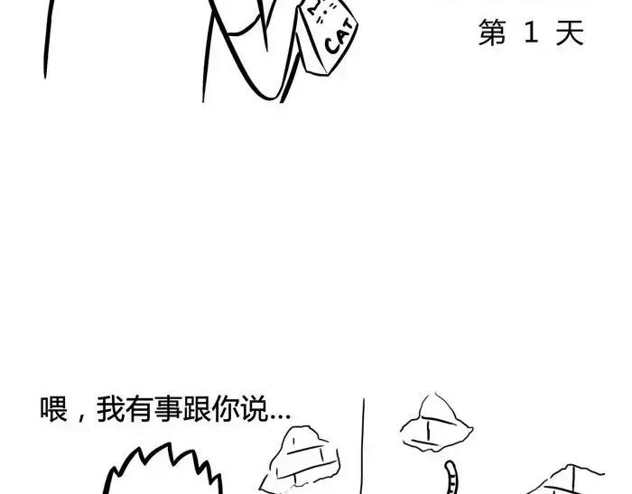 丧哥系列 | 养猫第一天2