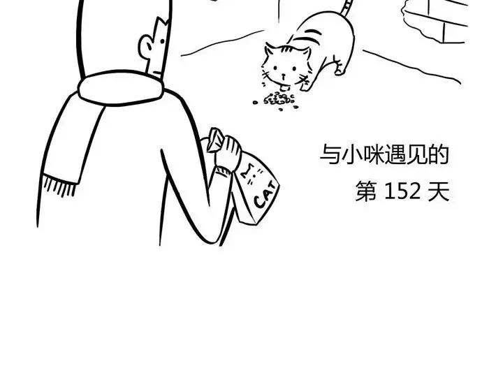 丧哥系列 | 养猫第一天3