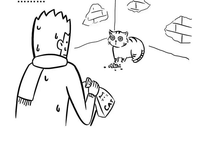 丧哥系列 | 养猫第一天6