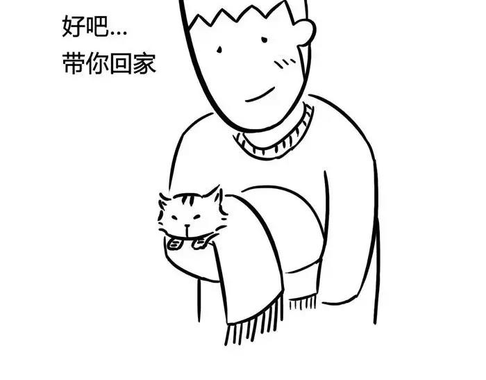 丧哥系列 | 养猫第一天9