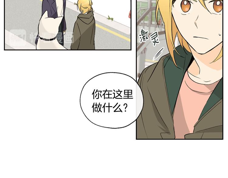 第25话 见到精灵39