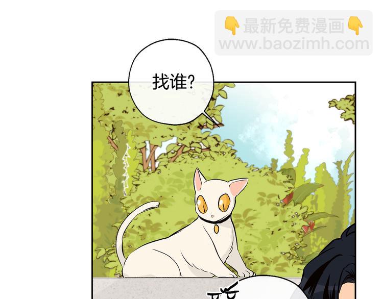 第25话 见到精灵43
