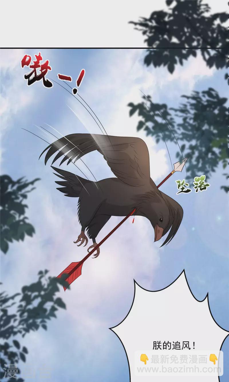第139话 这是朕的鸟！11