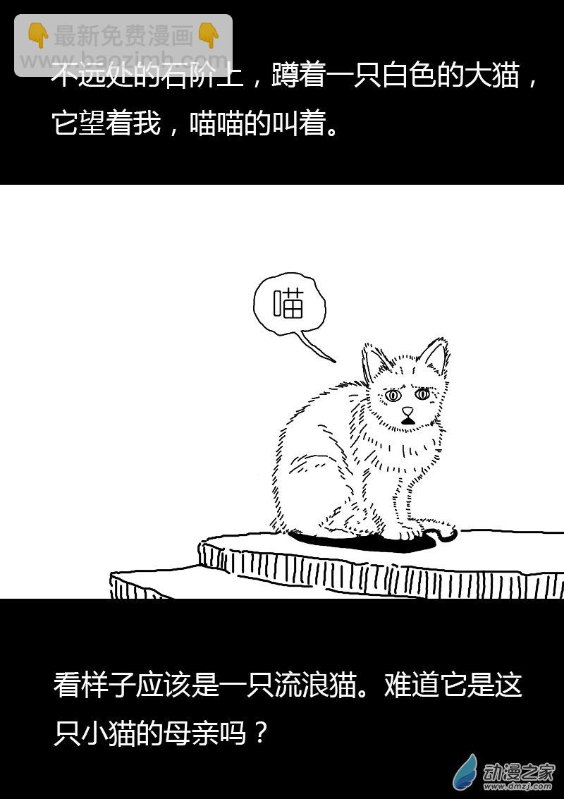 第167话4