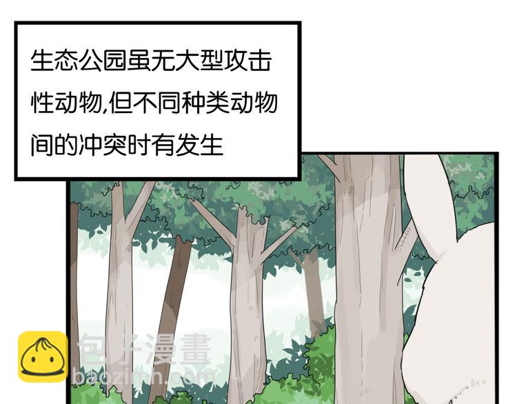 第216话 偶像选拔篇264