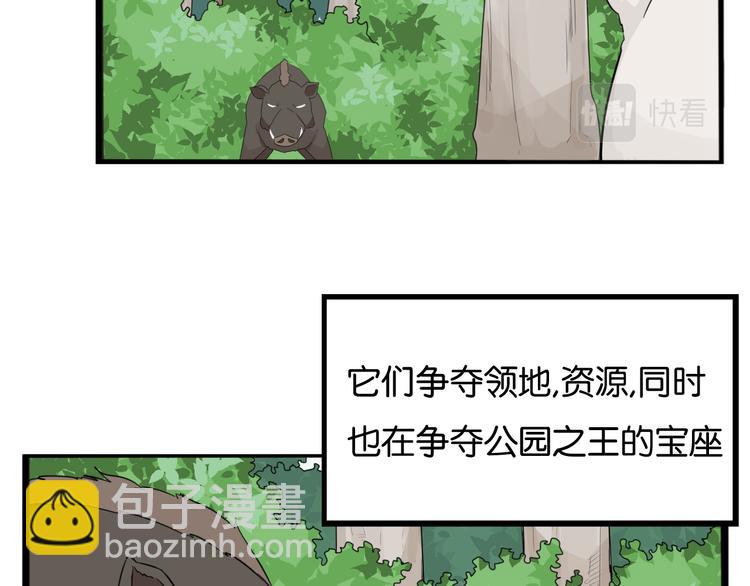 第216话 偶像选拔篇265