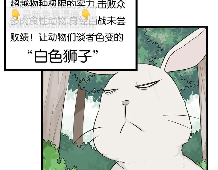 第216话 偶像选拔篇268