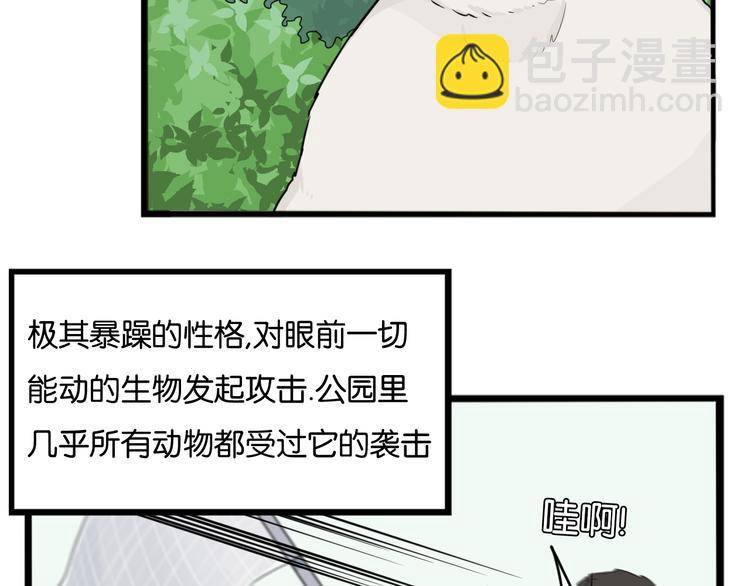 第216话 偶像选拔篇269