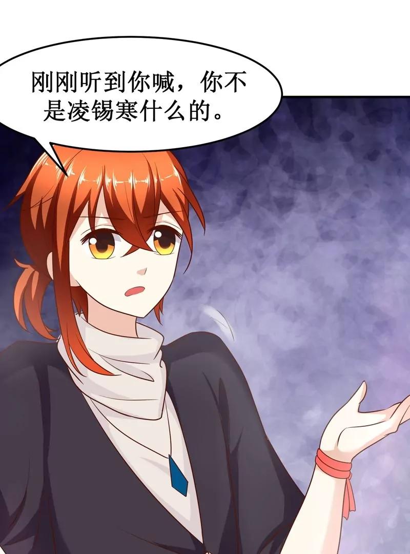 第30话 凌锡寒的过去11