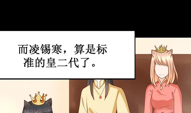 第30话 凌锡寒的过去33