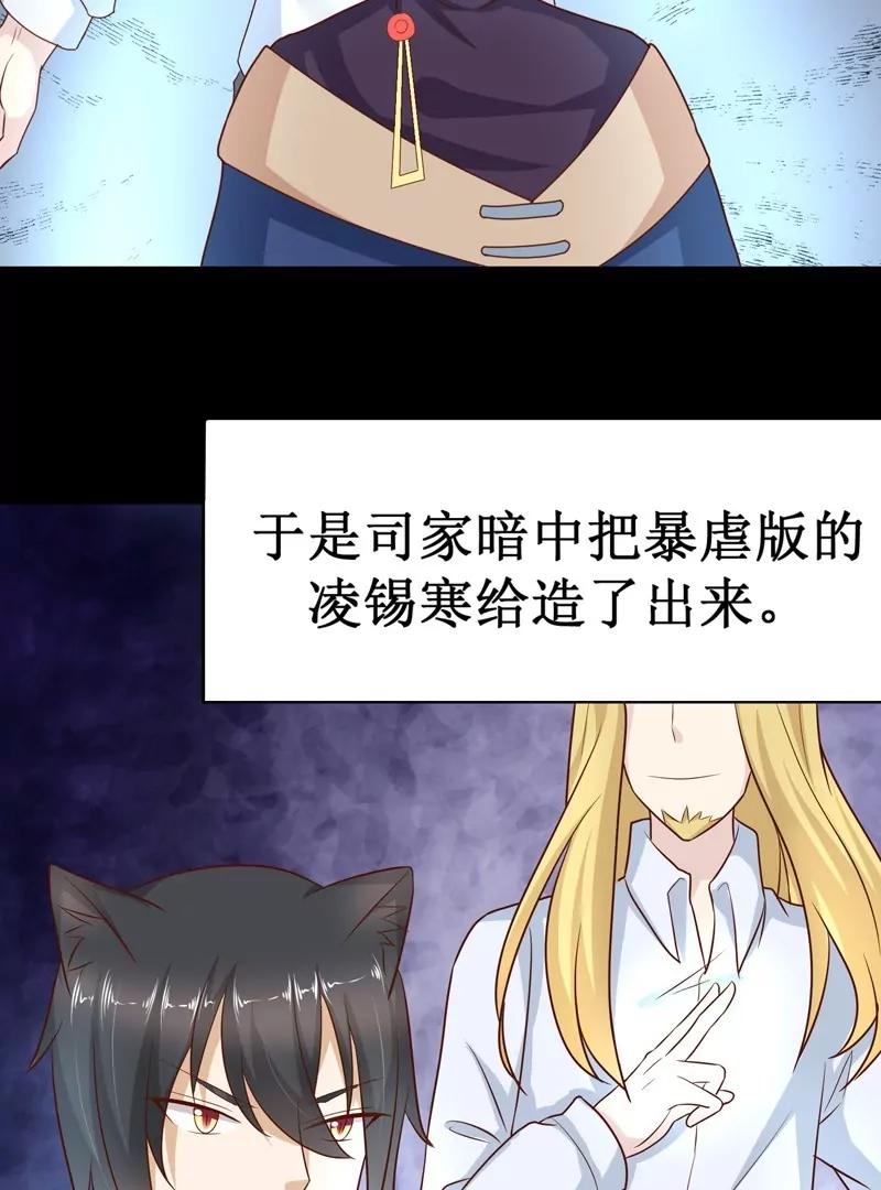 第30话 凌锡寒的过去38
