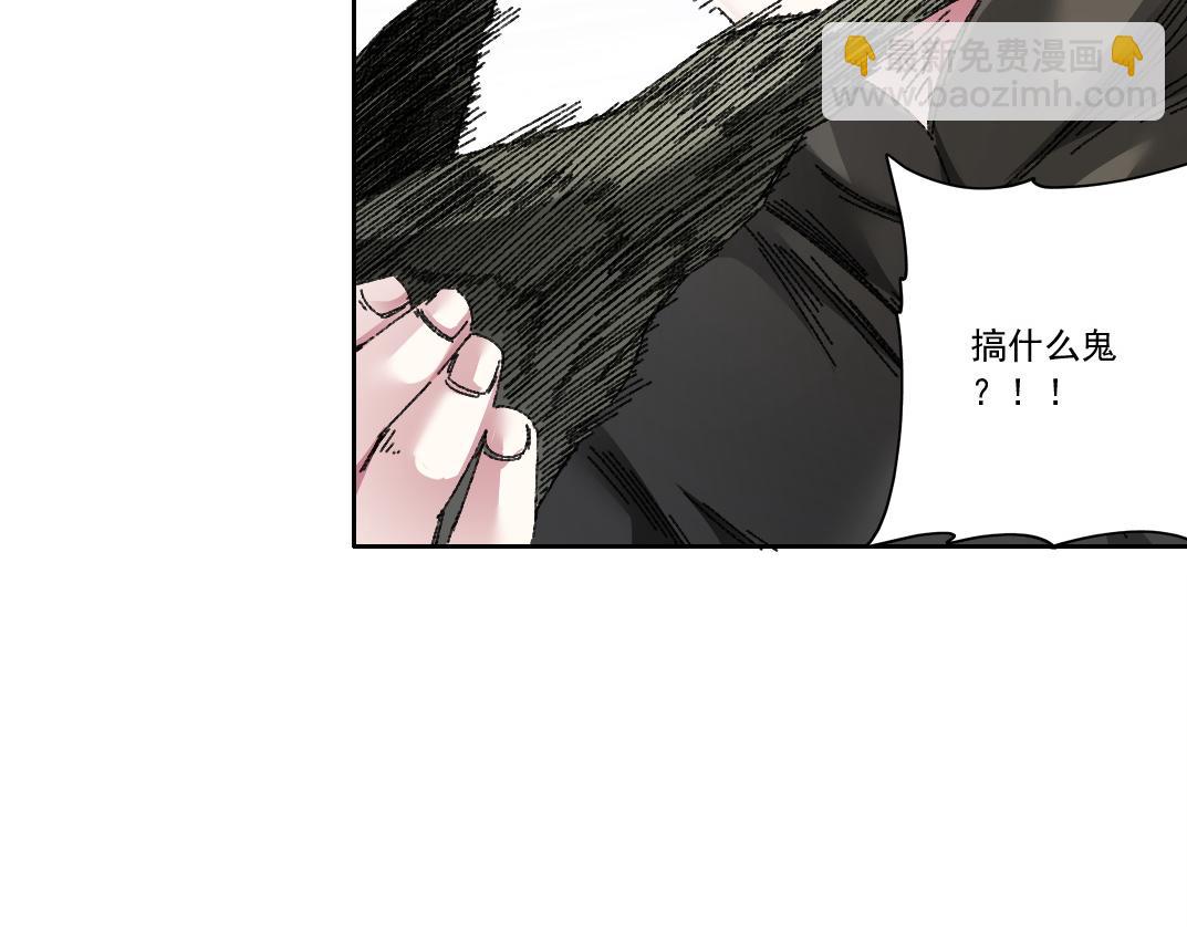 狸猫换太子10