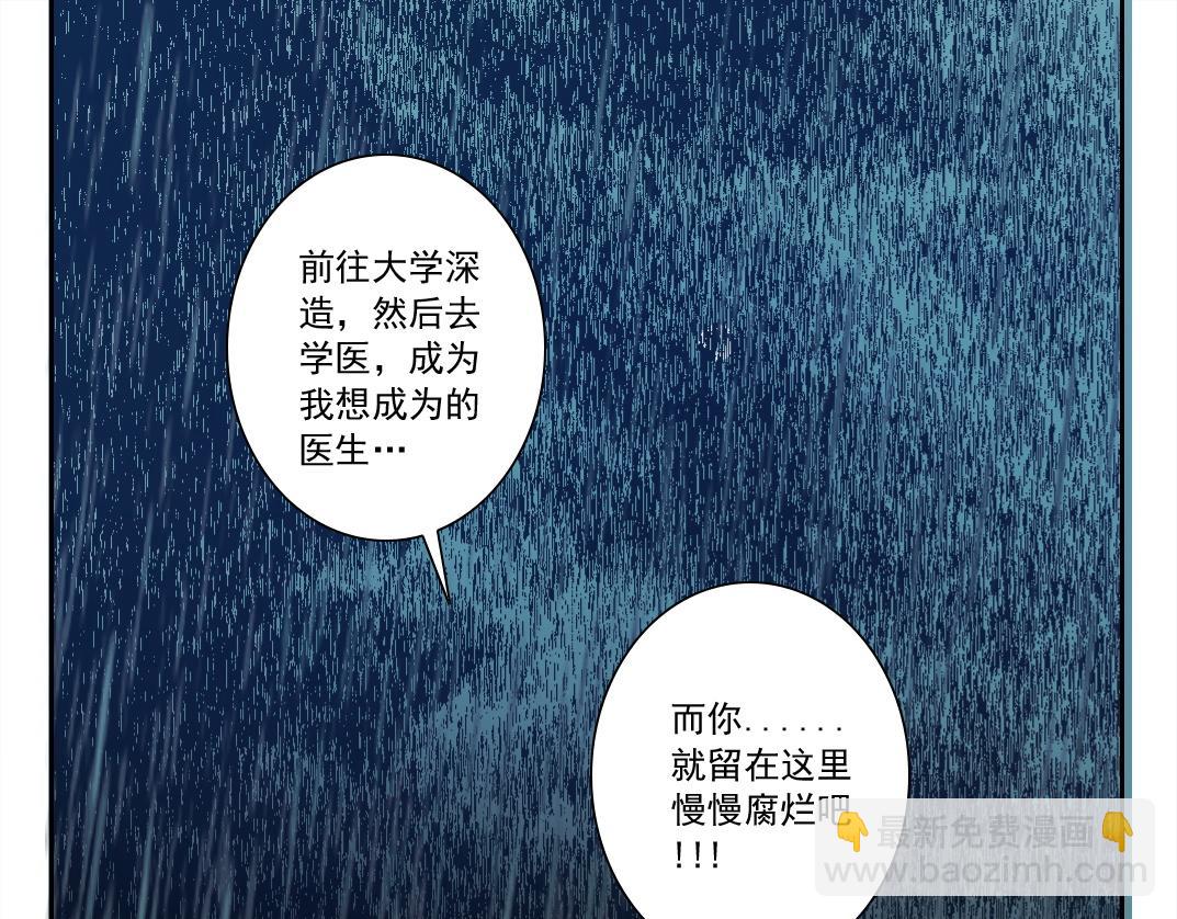 狸猫换太子38