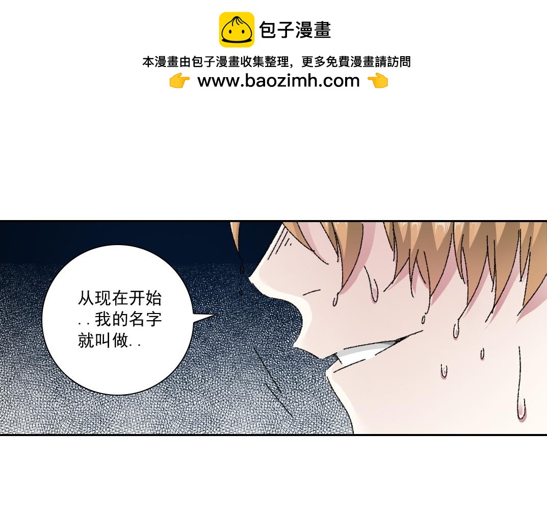 狸猫换太子41