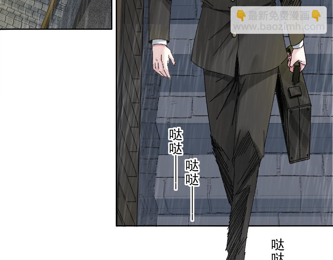 狸猫换太子46