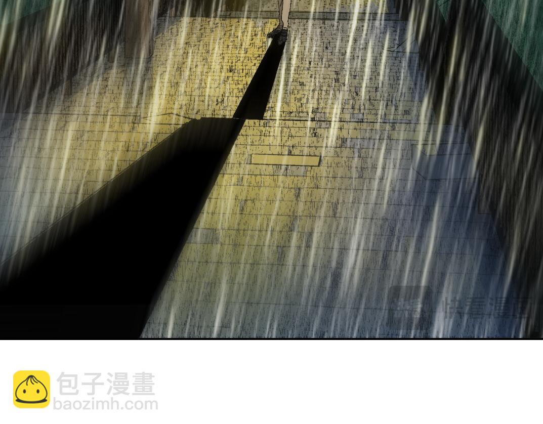 狸猫换太子55