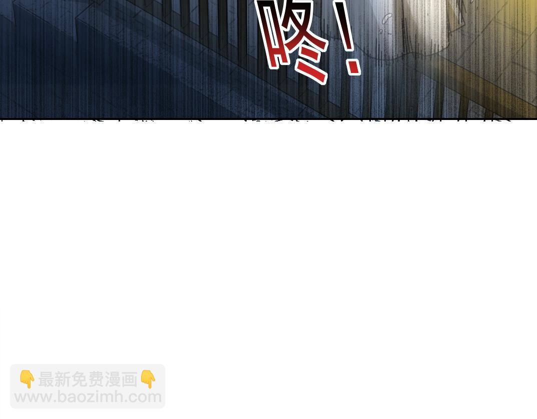 狸猫换太子62