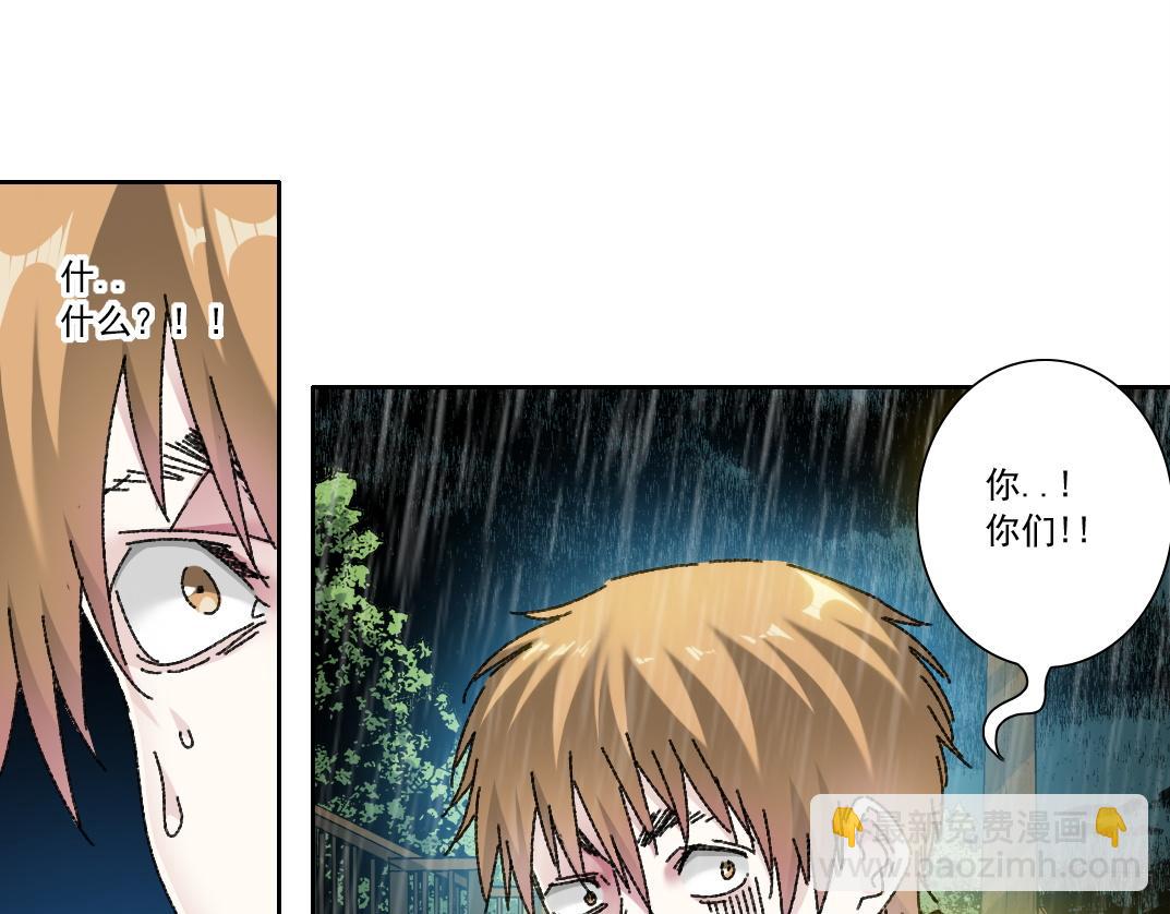 狸猫换太子66