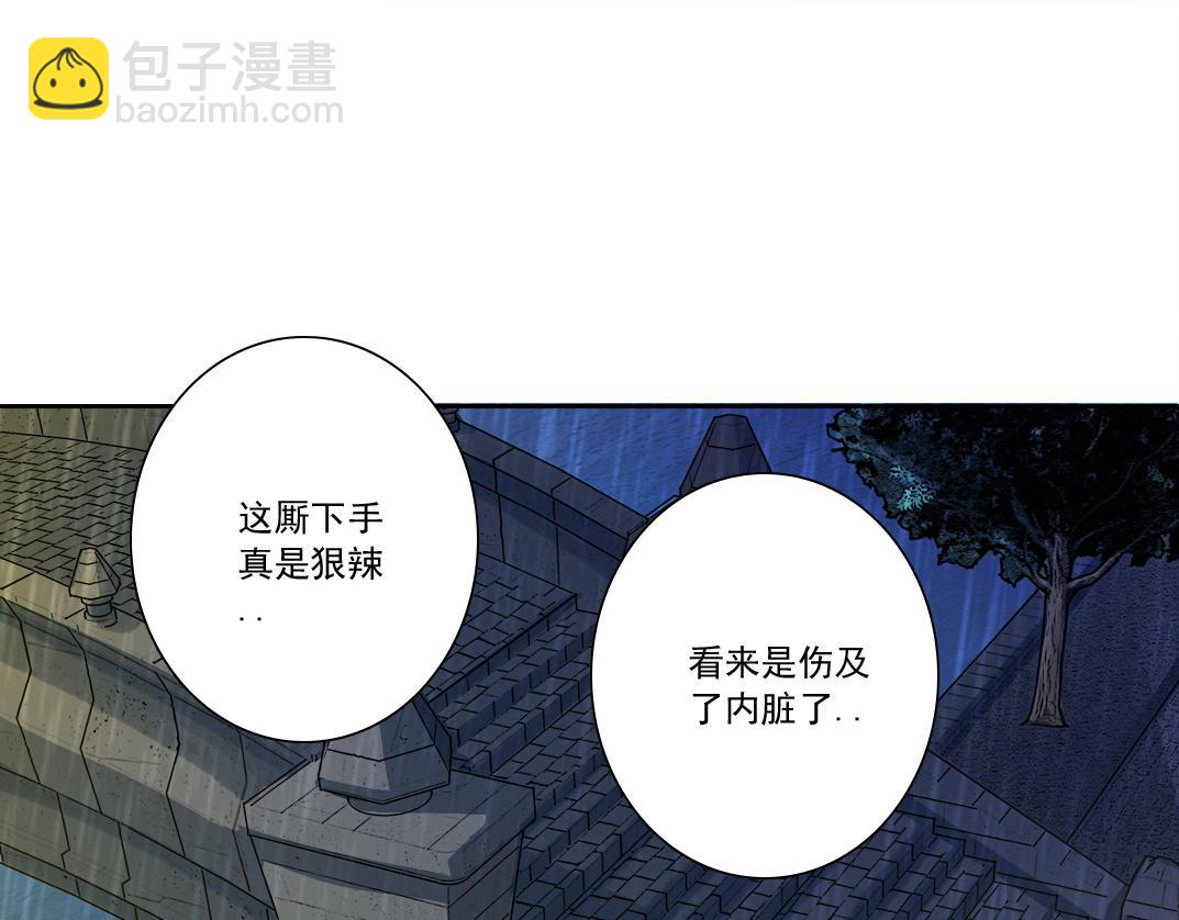 狸猫换太子77