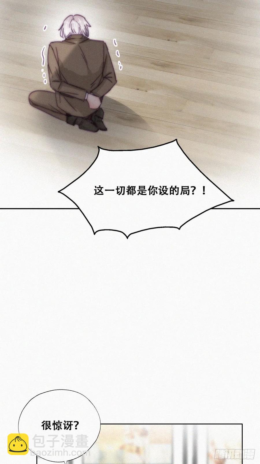 第169话 抓岳照19