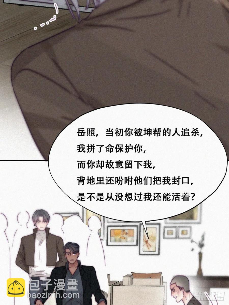 第169话 抓岳照29