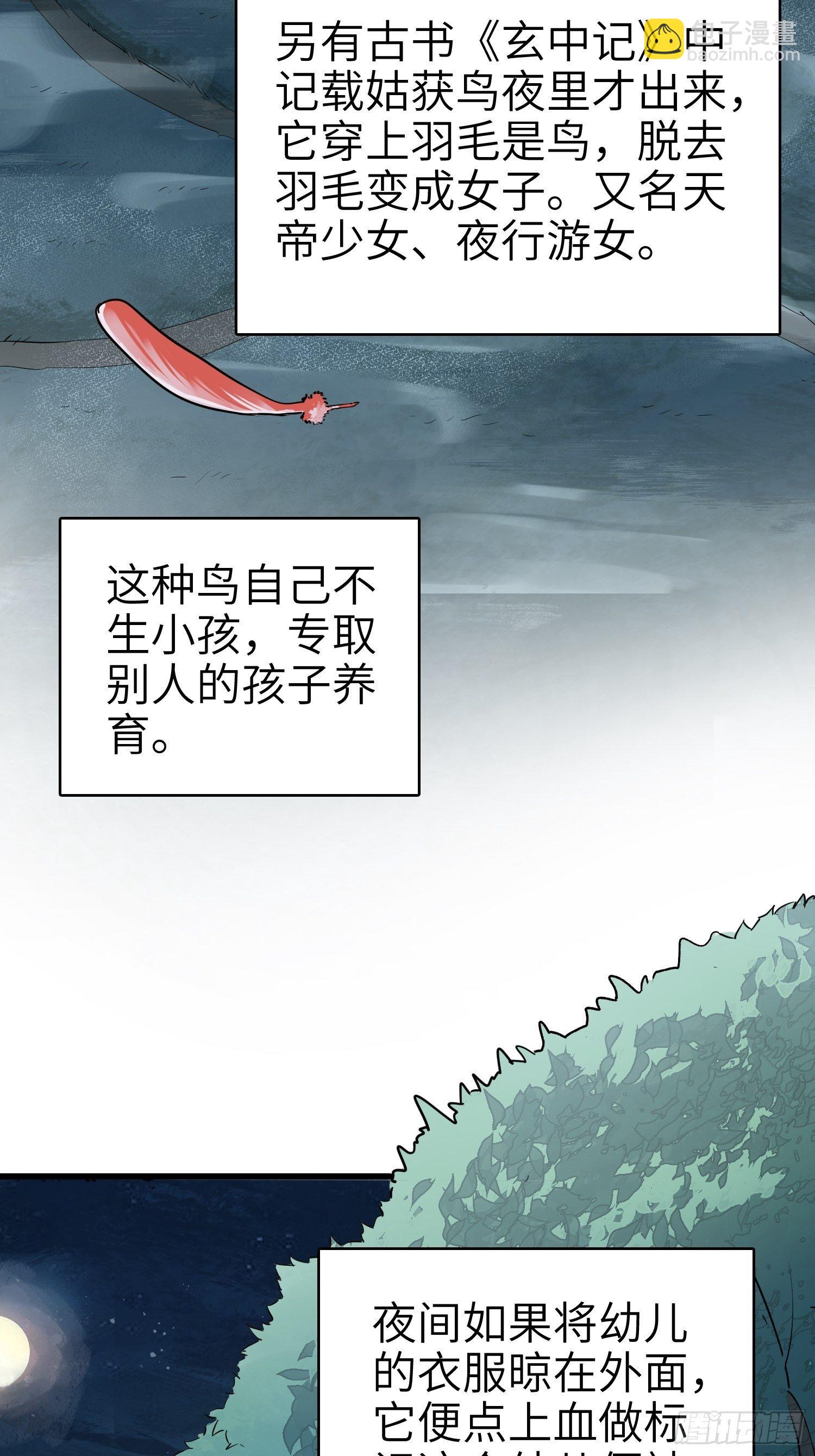 姑获鸟科普小剧场16