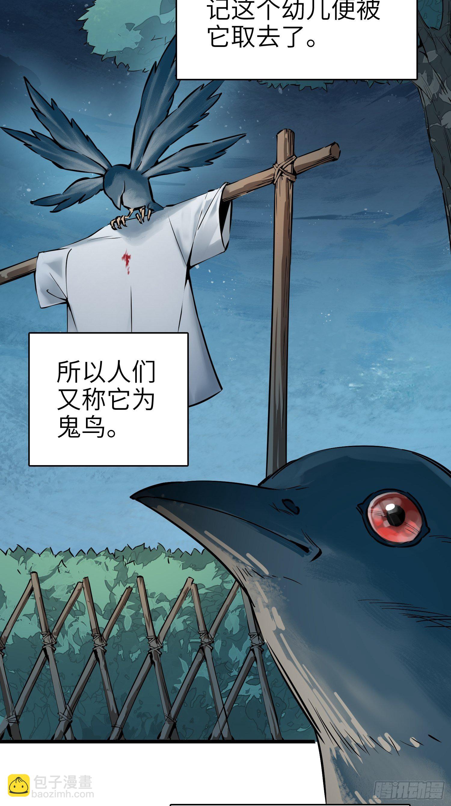 姑获鸟科普小剧场17