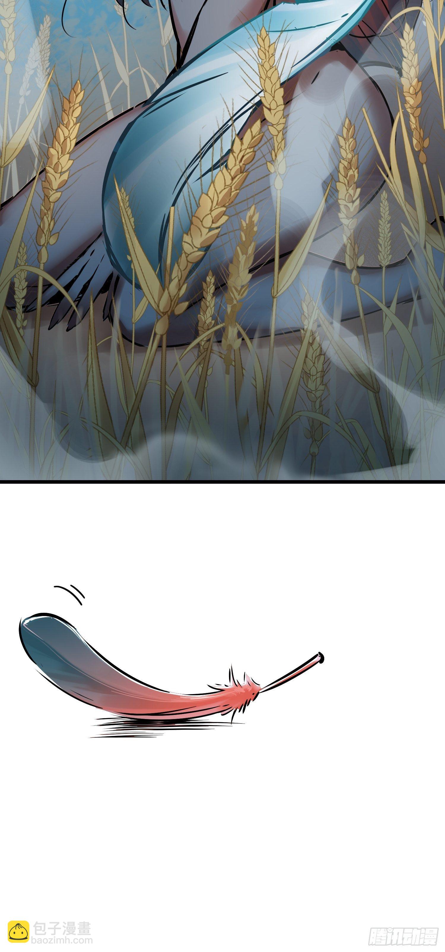 姑获鸟科普小剧场9