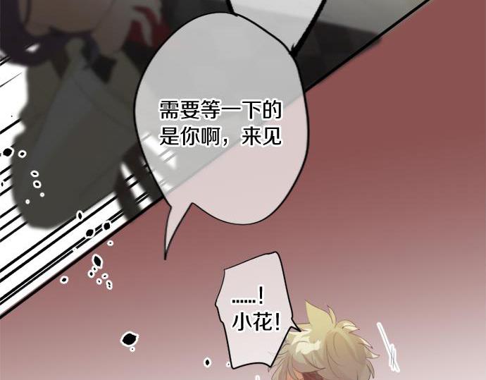 第281话 你是我最重要的那颗星7