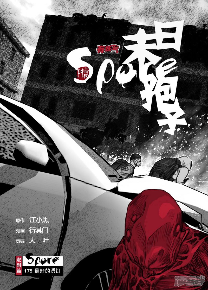 175 175最好的诱饵0