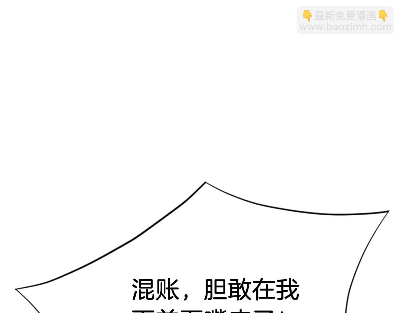 第126话 账簿36
