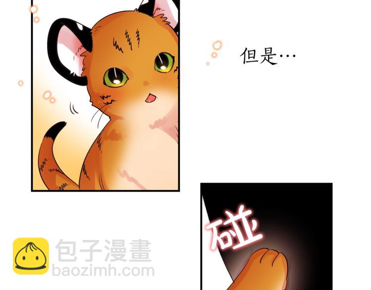 第1话 它变“他”！67