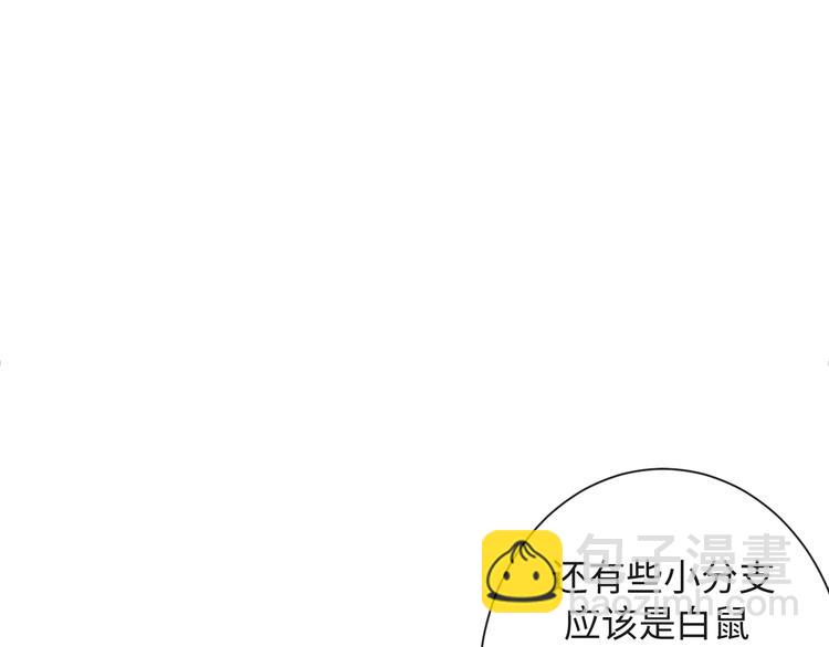 第40话 热门视频博主39