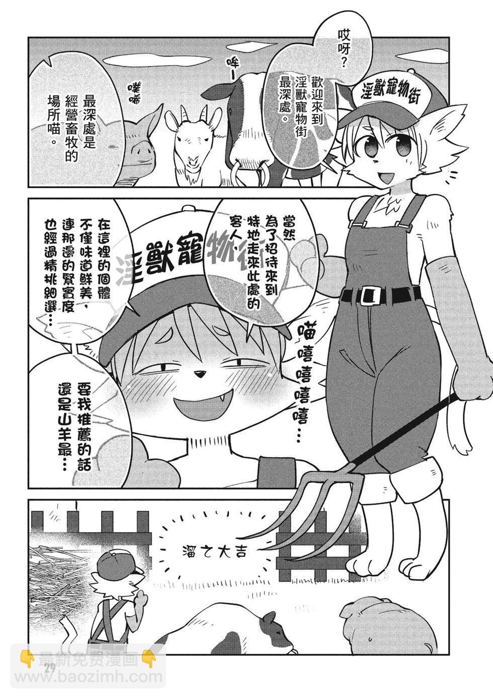第04卷29
