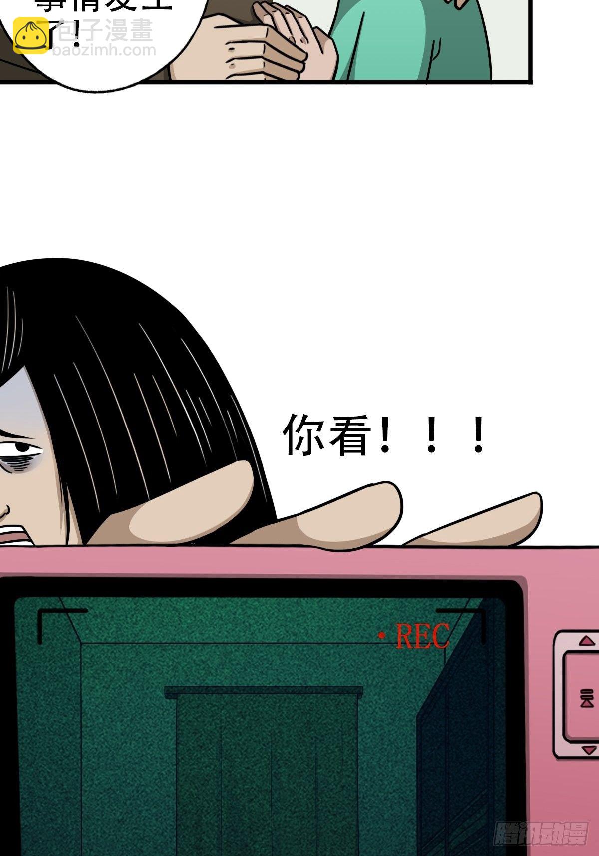 埋猫狗（下）11