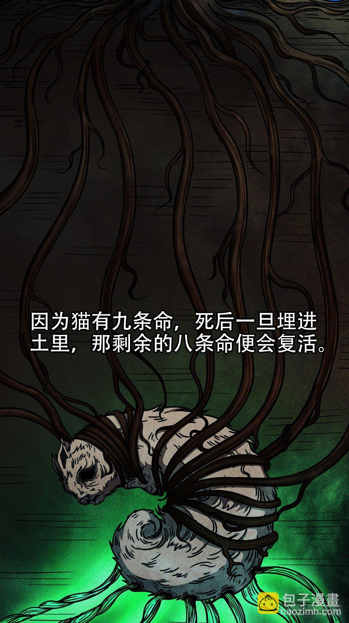 埋猫狗（下）67
