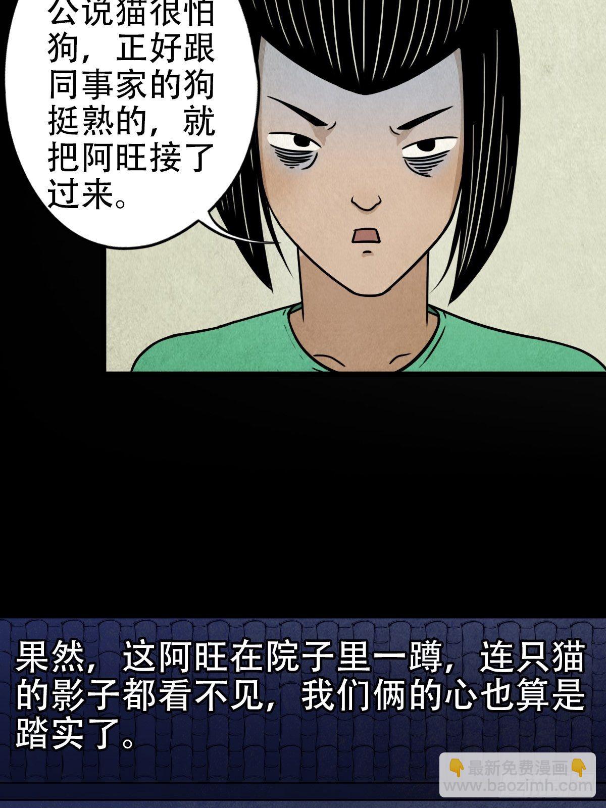 埋猫狗（下）7